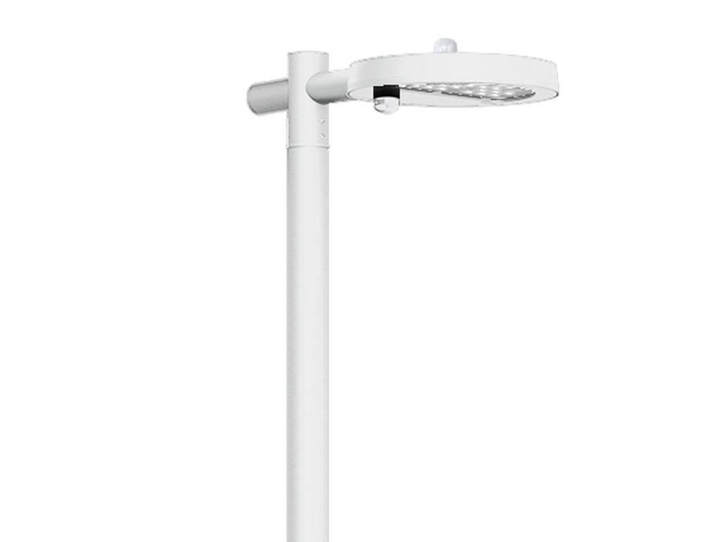 STEAMER 12 - Image 3