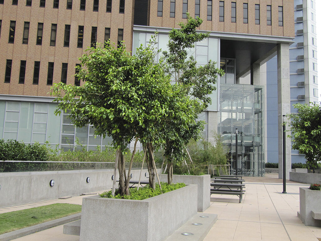 The Hong Kong Polytechnic University