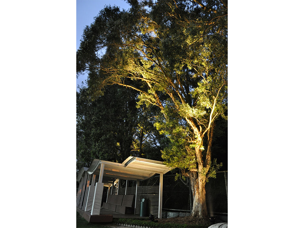 Hong Kong Cricket Club