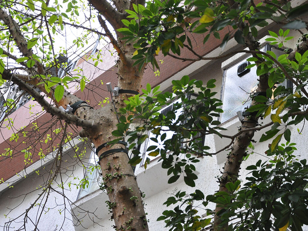 Hong Kong Cricket Club