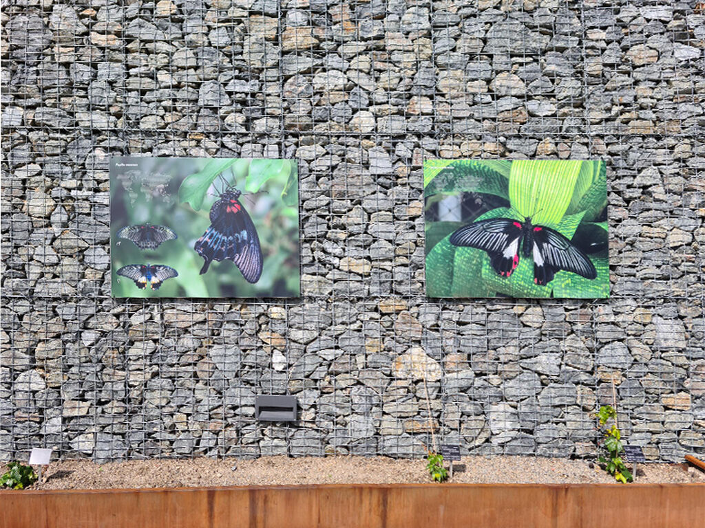 Botanická zahrada (Prague Botanical Garden)