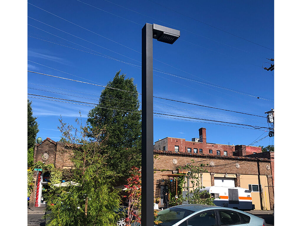 The Nature Conservancy