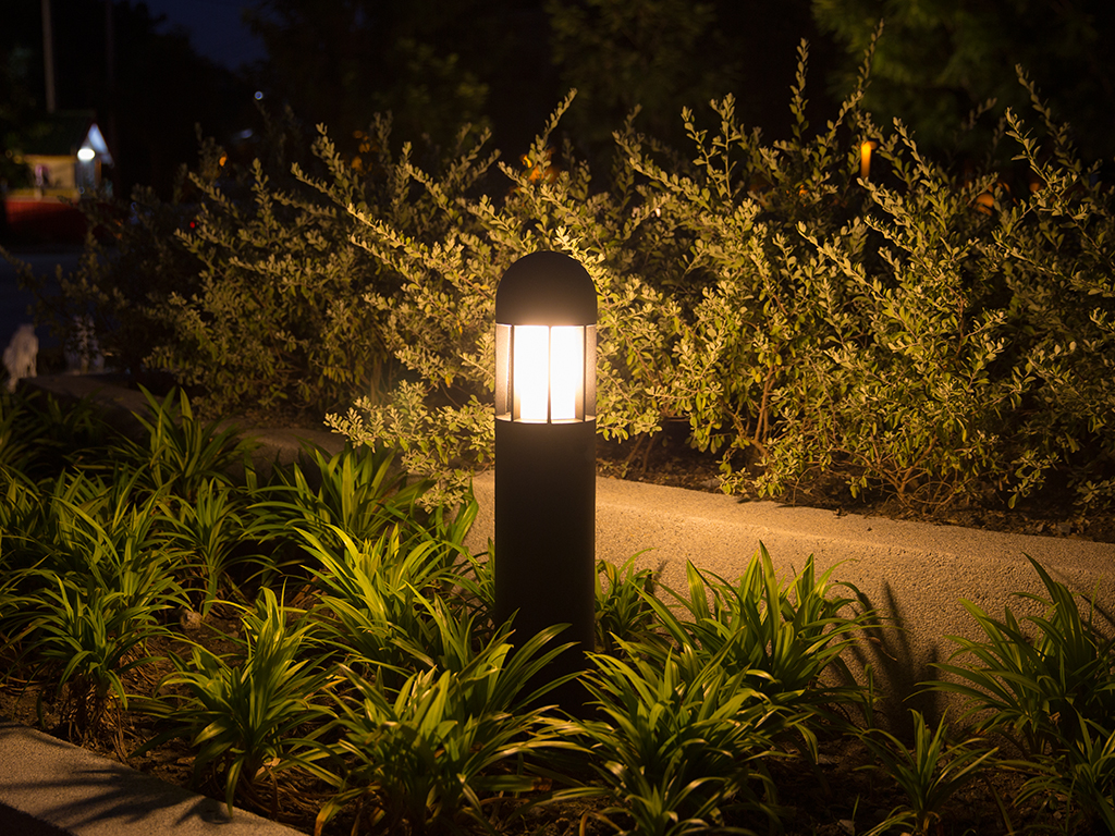 The Revenue Department