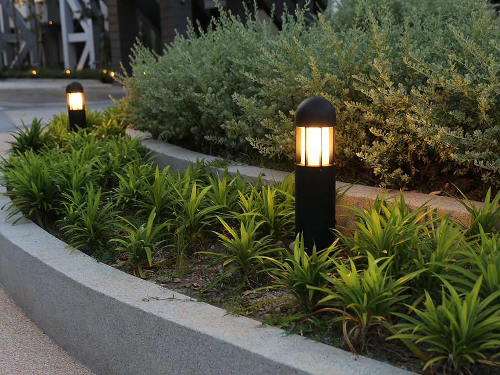 The Revenue Department