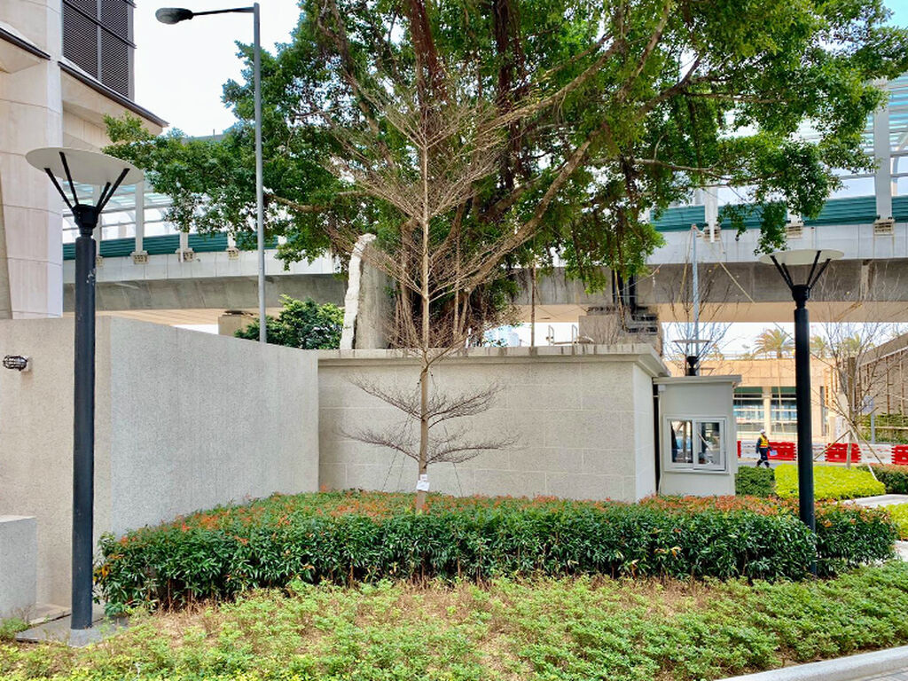 LCSD Sitting-Out Area