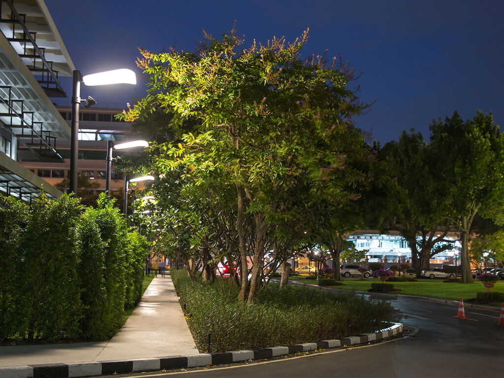 The Bank of Thailand