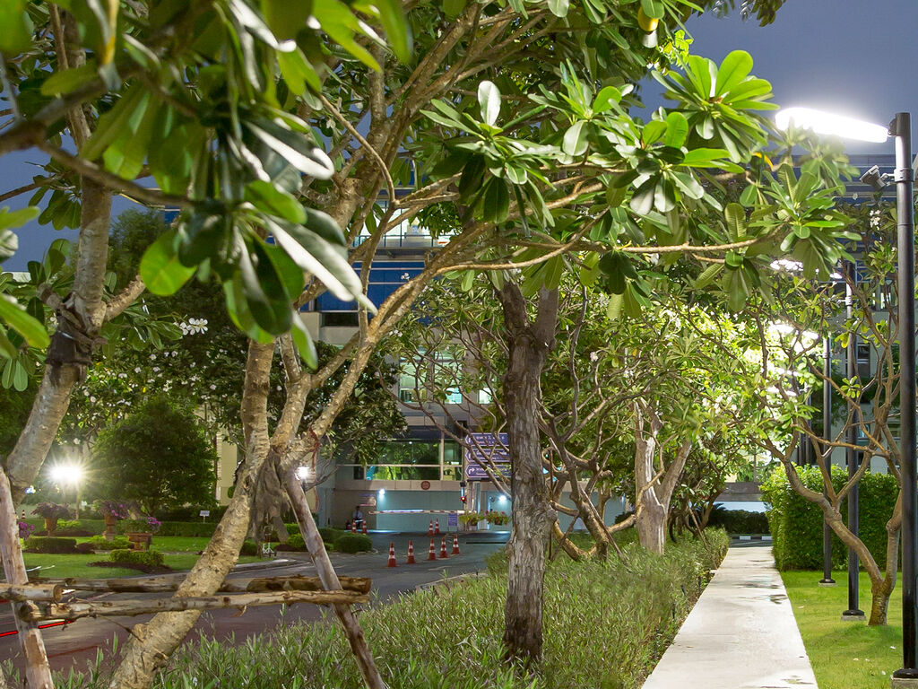 The Bank of Thailand