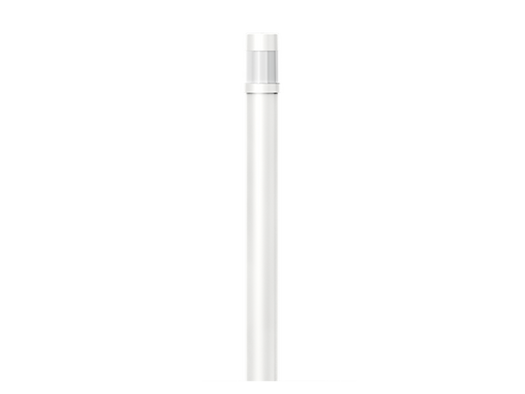 BAMBOO 3