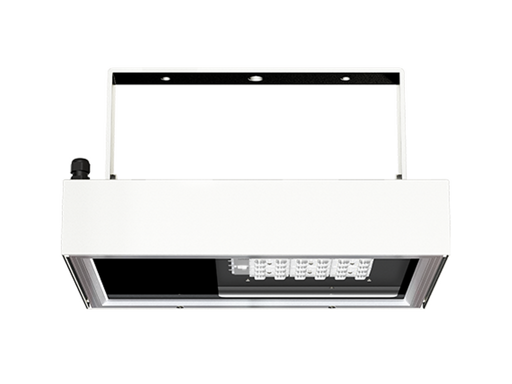 MUSTANG 37 - Image 4