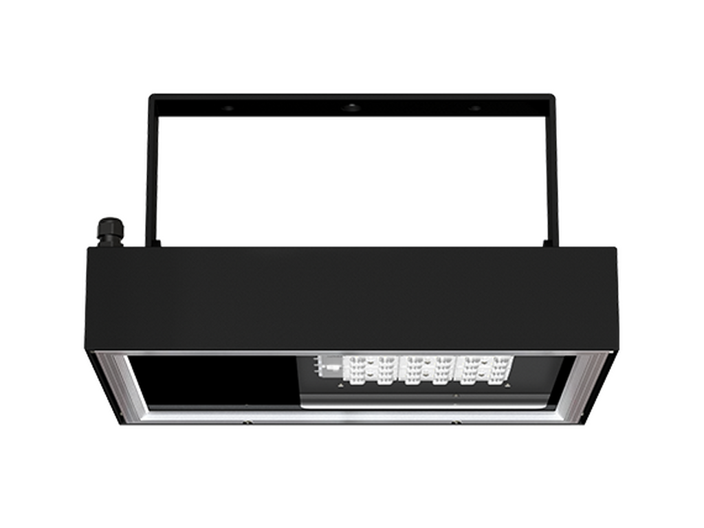 MUSTANG 37 - Image 2