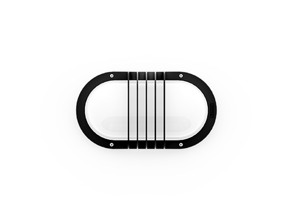CAPSULE 1 - Image 2