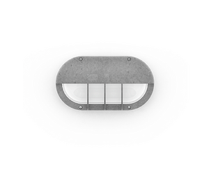 CAPSULE 5