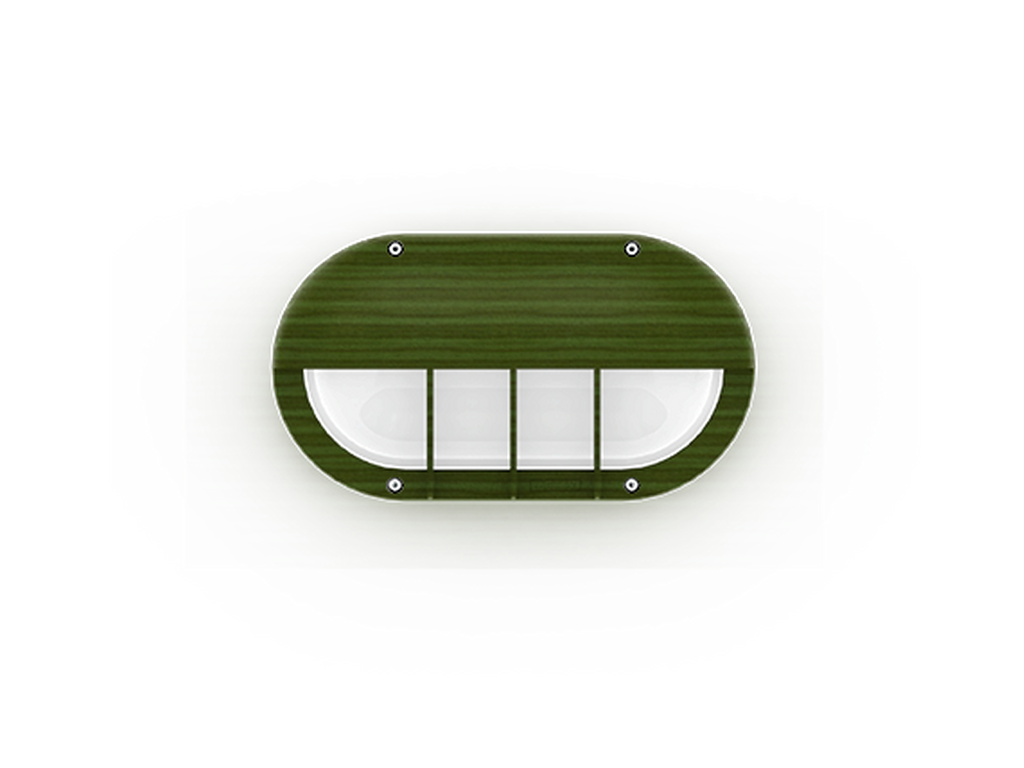 CAPSULE 5