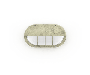 CAPSULE 5