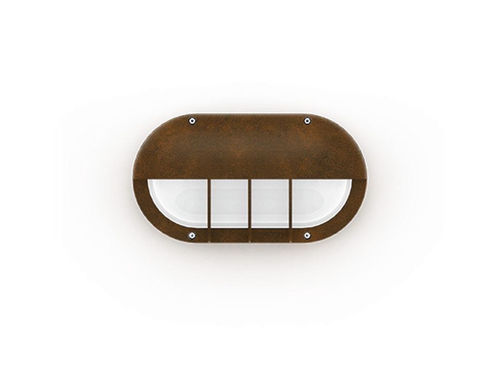 CAPSULE 5