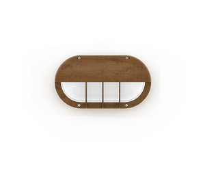 CAPSULE 5