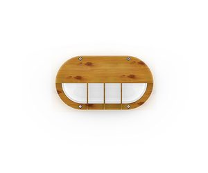 CAPSULE 5