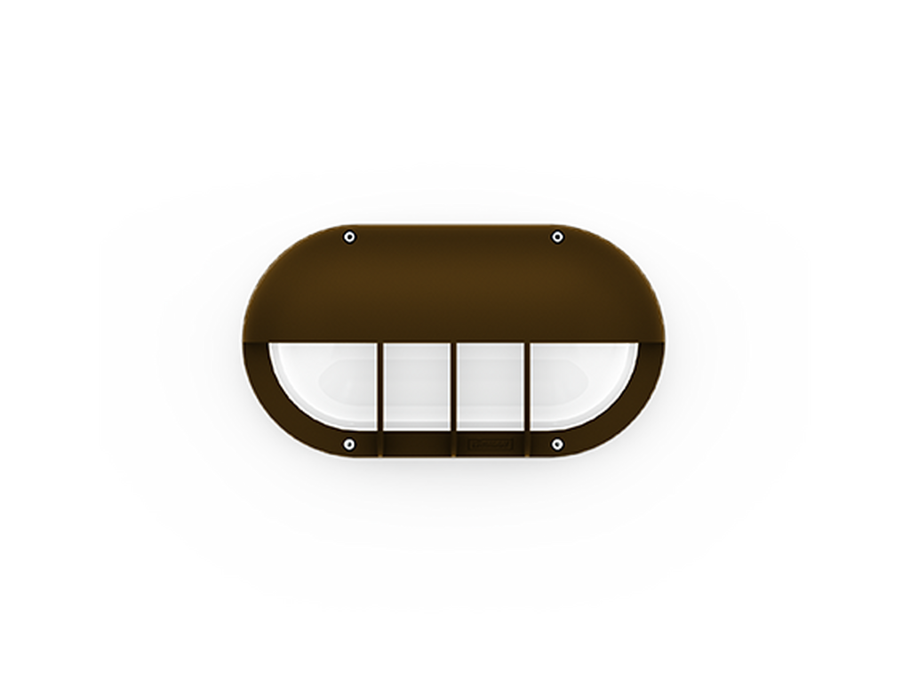 CAPSULE 5