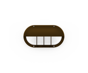 CAPSULE 5