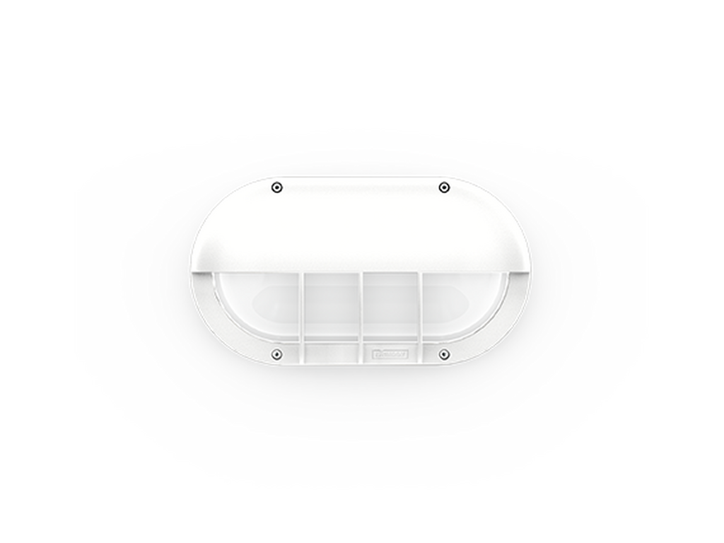 CAPSULE 5