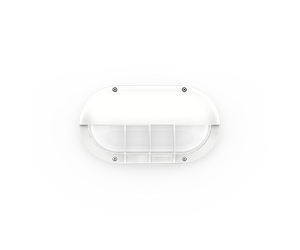 CAPSULE 5