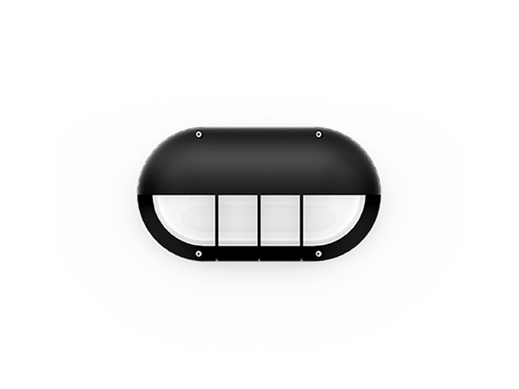 CAPSULE 5