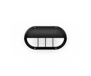 CAPSULE 5