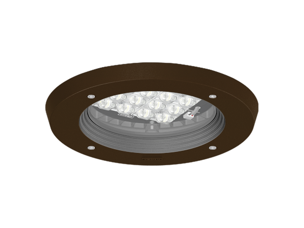 ROBUST 1 - Image 5