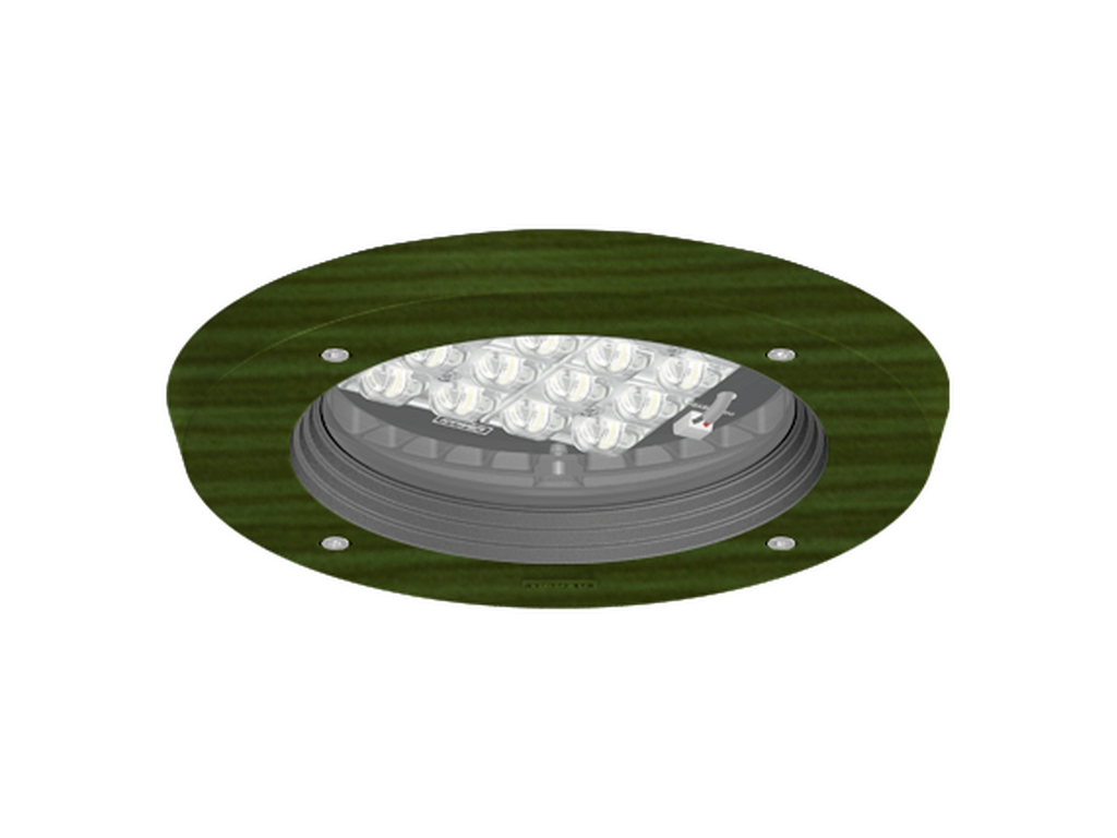 ROBUST 1 - Image 7