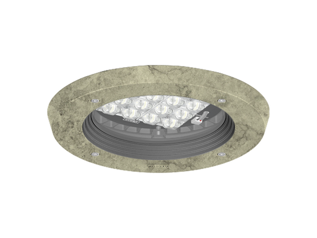 ROBUST 1 - Image 8