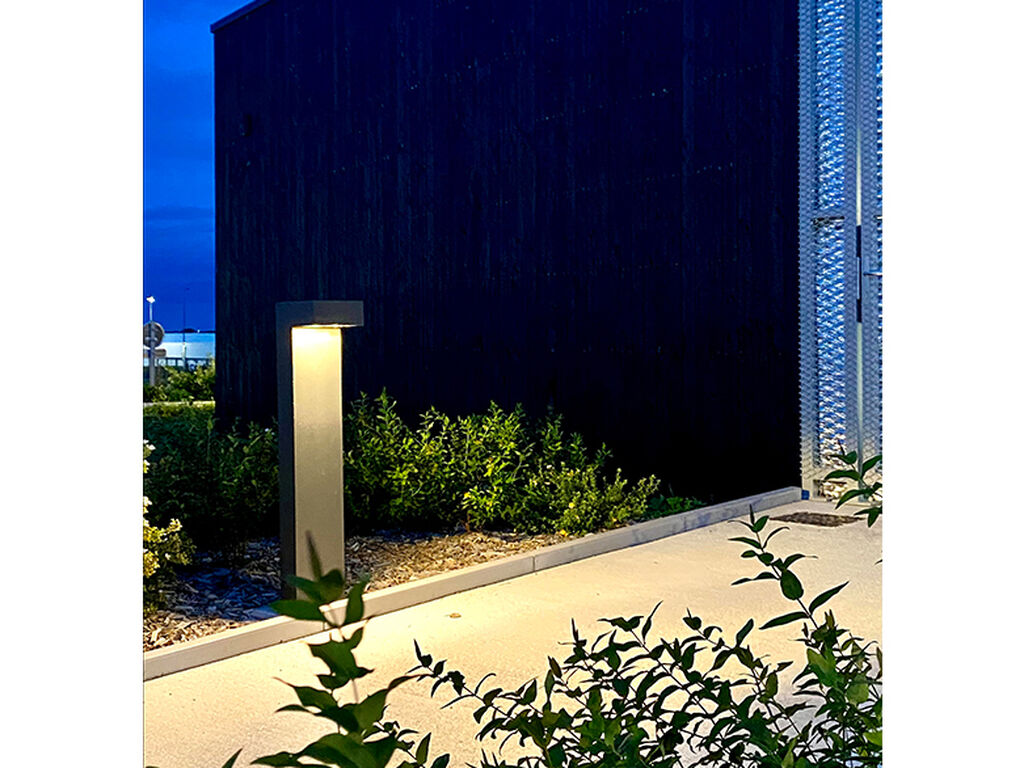 Maine Anjou Notaries