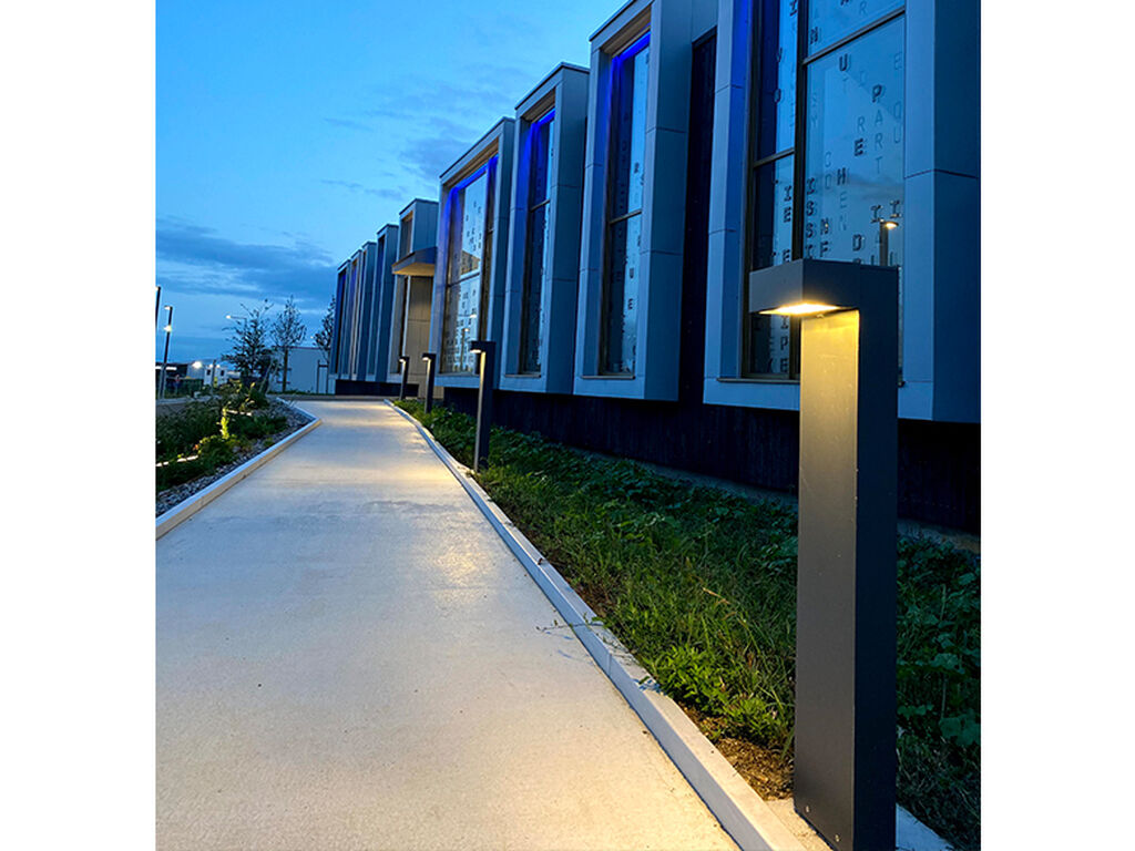 Maine Anjou Notaries