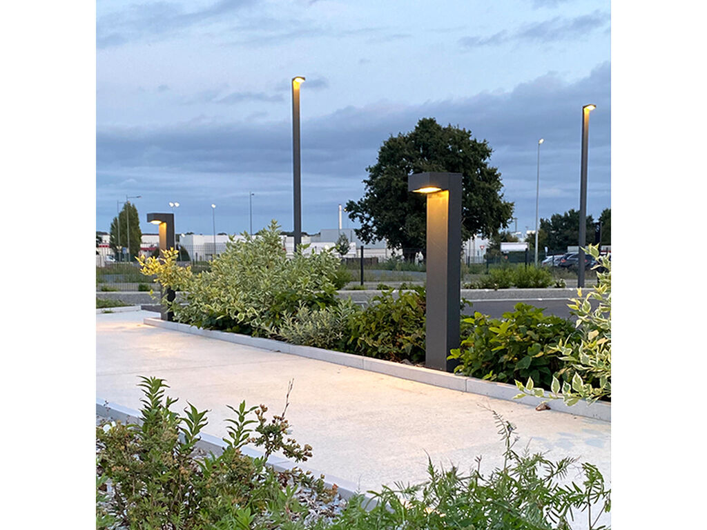 Maine Anjou Notaries