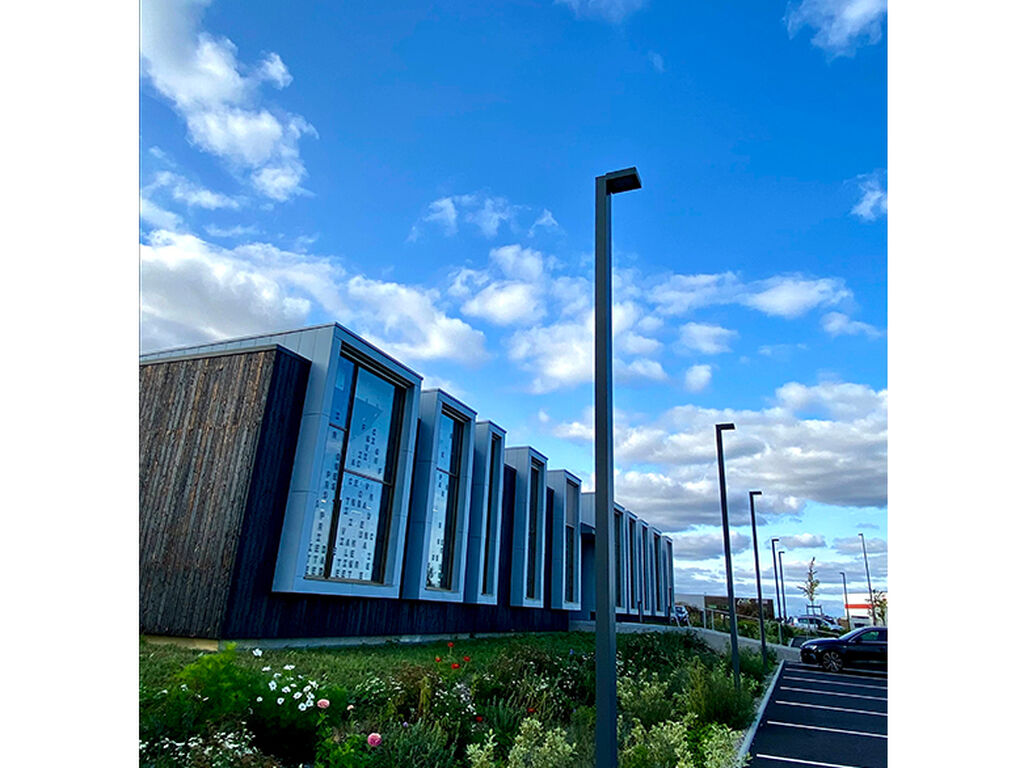 Maine Anjou Notaries