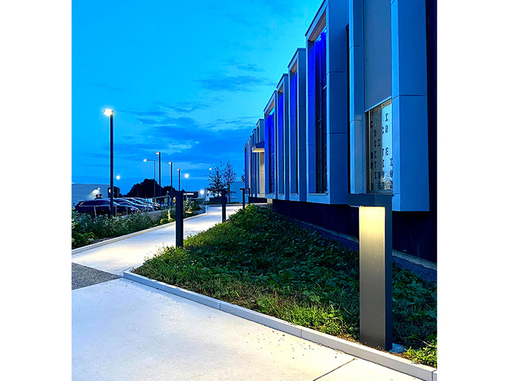 Maine Anjou Notaries