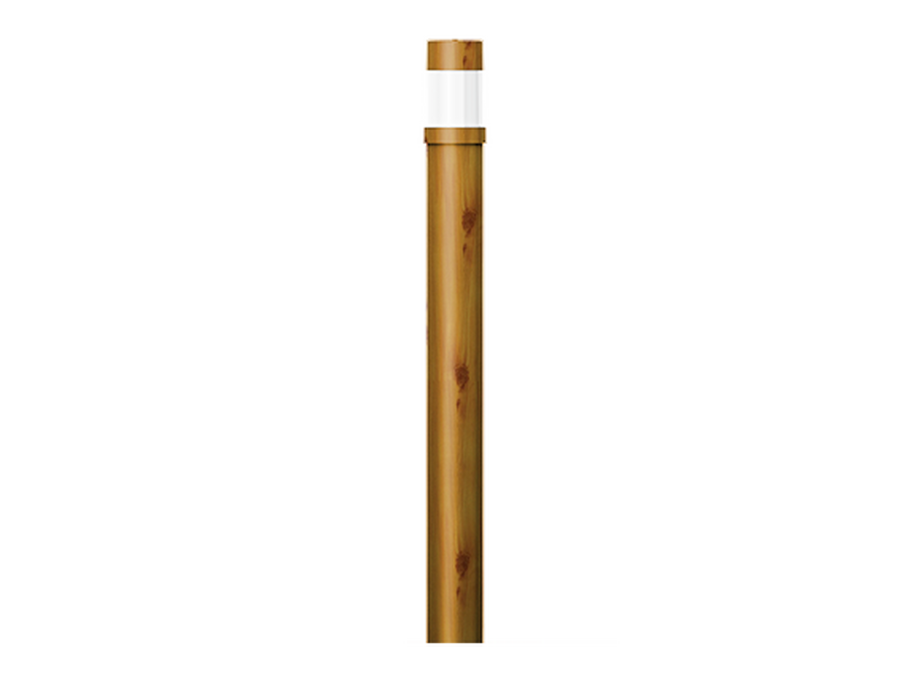 BAMBOO 3