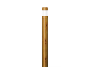 BAMBOO 3