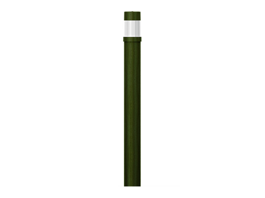 BAMBOO 3