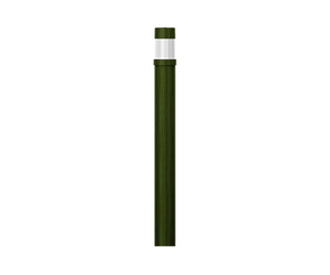 BAMBOO 3