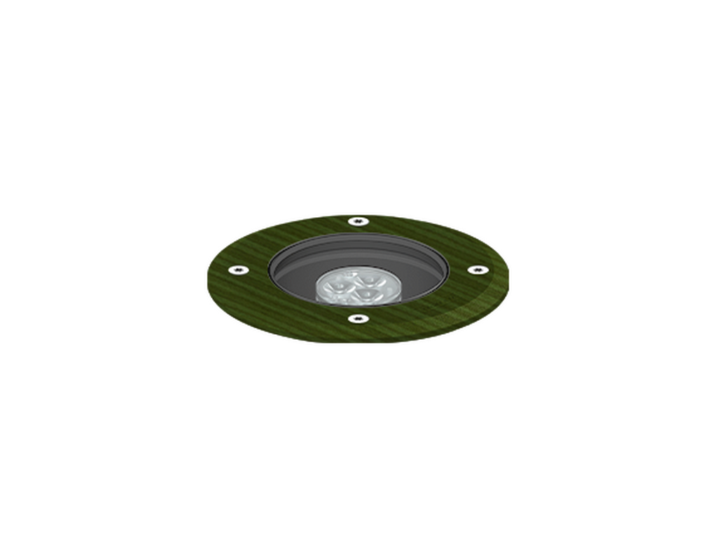 HARRIER 1 - Image 10