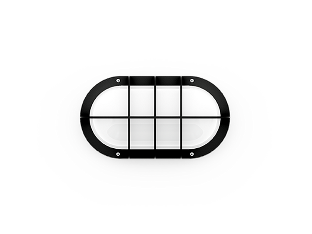 CAPSULE 4 - Image 2