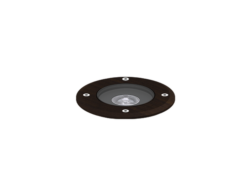 HARRIER 1 - Image 14