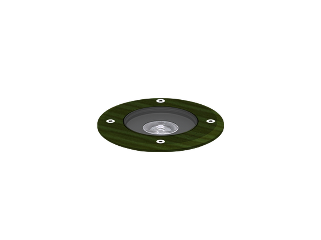 HARRIER 1 - Image 10