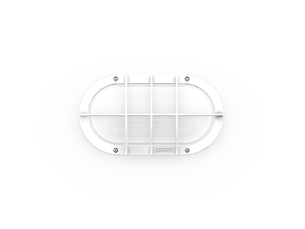 CAPSULE 4 - Image 3
