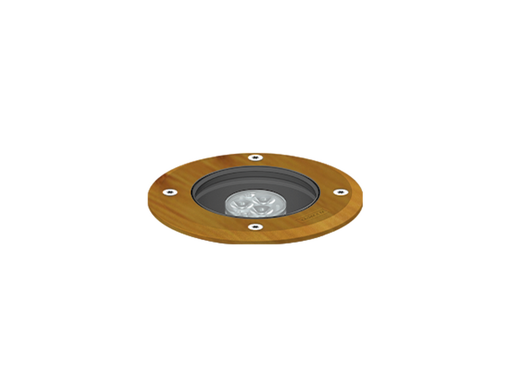 HARRIER 1 - Image 15