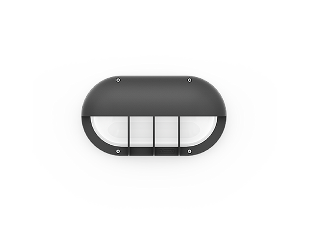 CAPSULE 5