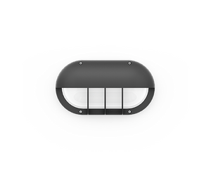 CAPSULE 5