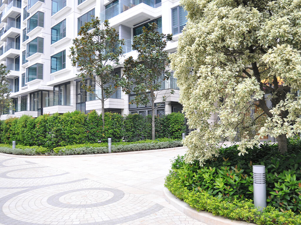 Providence Bay, Hong Kong LIGMAN EN