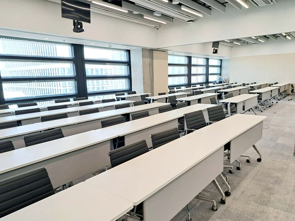 Lingnan University at M+