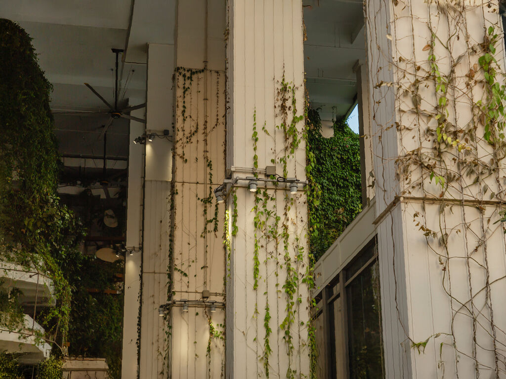 Marche Thonglor
